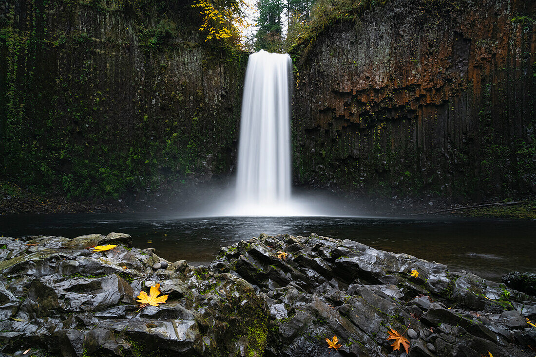 Abiqua Falls in autumn. Scotts Mills, Marion county, Oregon, USA.