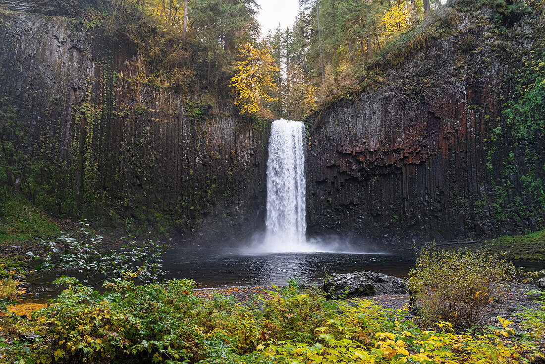 Abiqua Falls in autumn. Scotts Mills, Marion county, Oregon, USA.