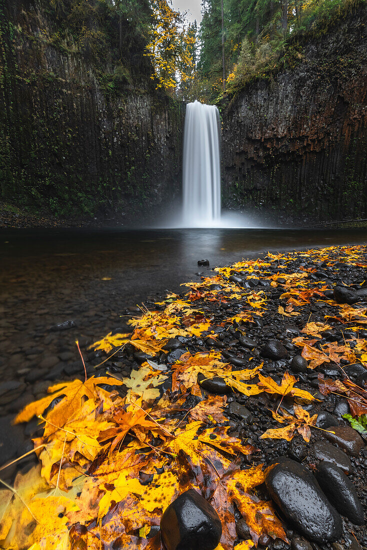 Abiqua Falls in autumn. Scotts Mills, Marion county, Oregon, USA.