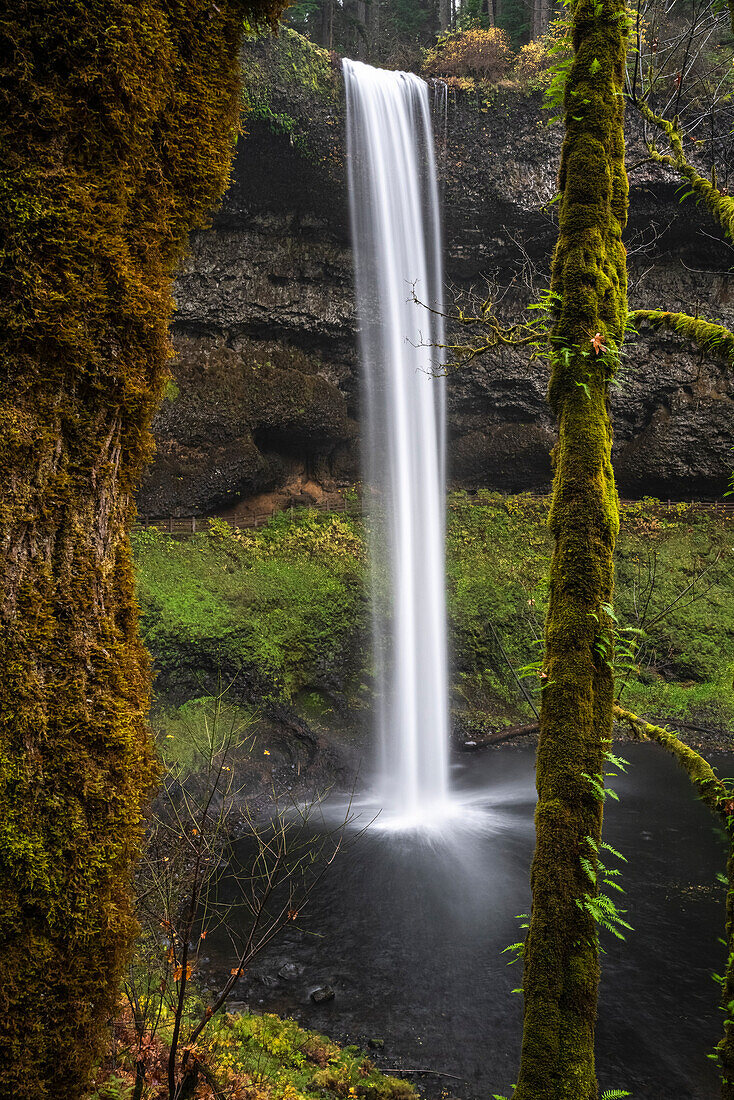 South Fall im Herbst, Silver Falls State Park, Marion County, Oregon, USA.
