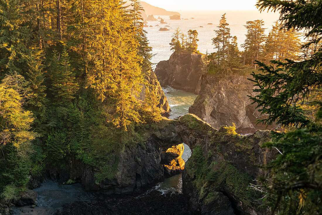 Landschaft bei Sonnenuntergang an den natürlichen Brücken im Samuel H. Boardman Scenic Corridor State Park. Brookings, Landkreis Curry, Oregon, USA.