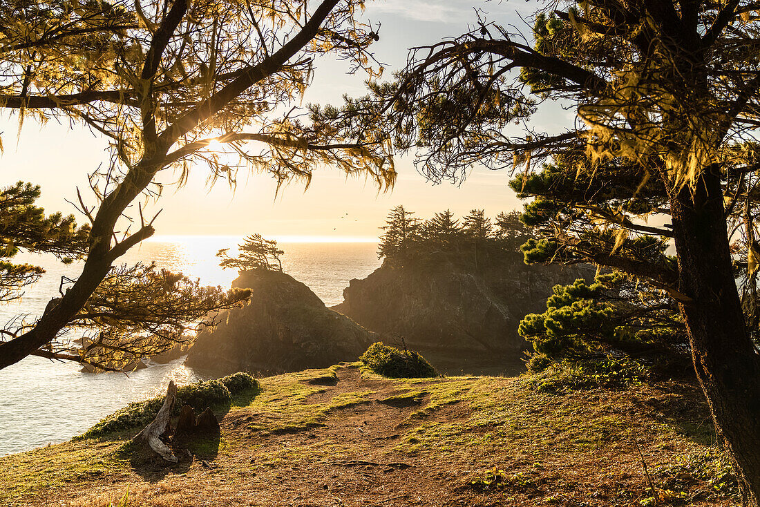 Landschaft am Second Beach, Teil des Samuel H. Boardman Scenic Corridor State Park. Brookings, Landkreis Curry, Oregon, USA.