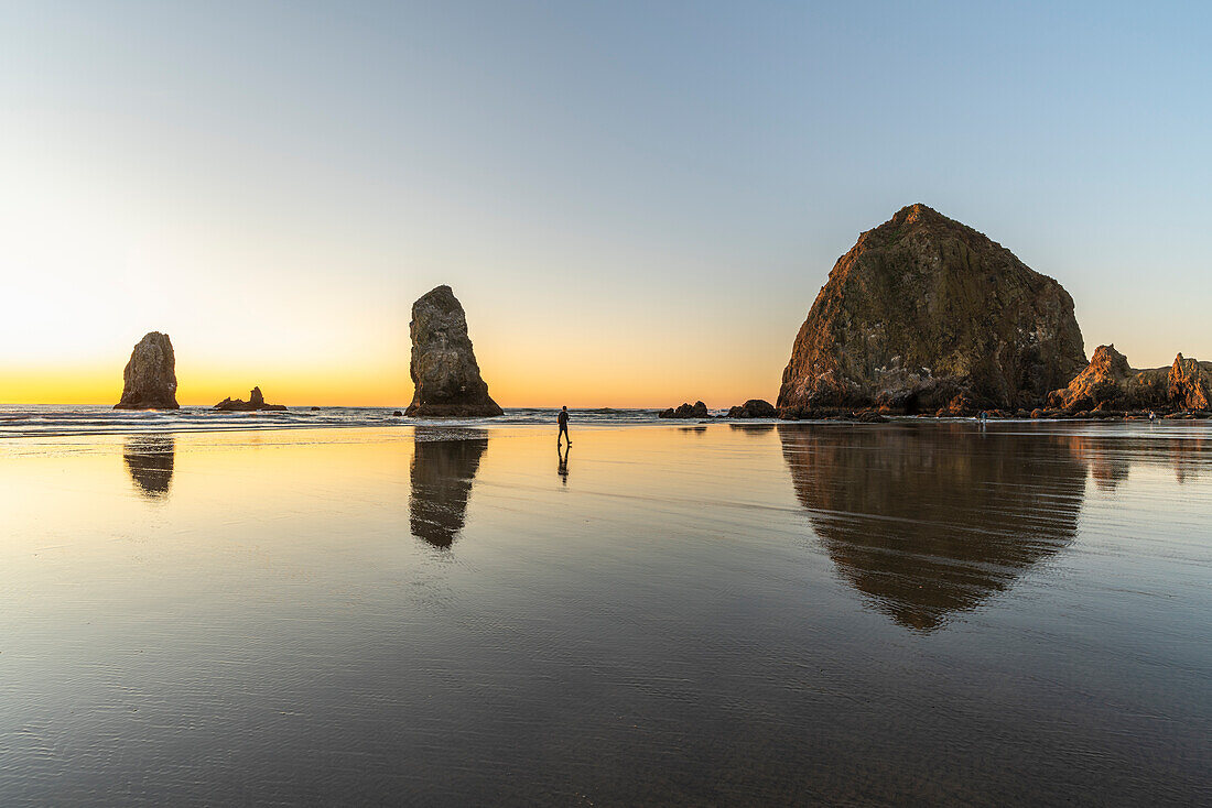 Rear view of a man on Cannon Beach at sunset. Clatsop county, Oregon, USA.