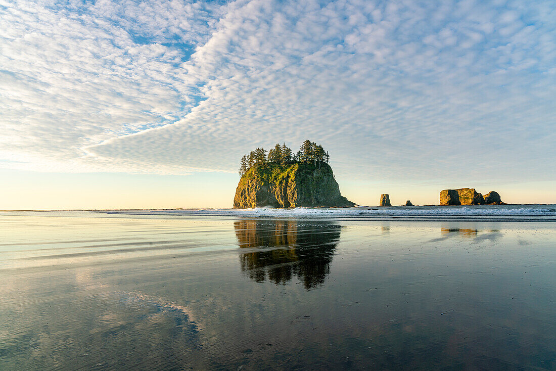 Sea stacks and reflection on low tide at dawn. Second Beach, La Push, Clallam county, Washigton State, USA.