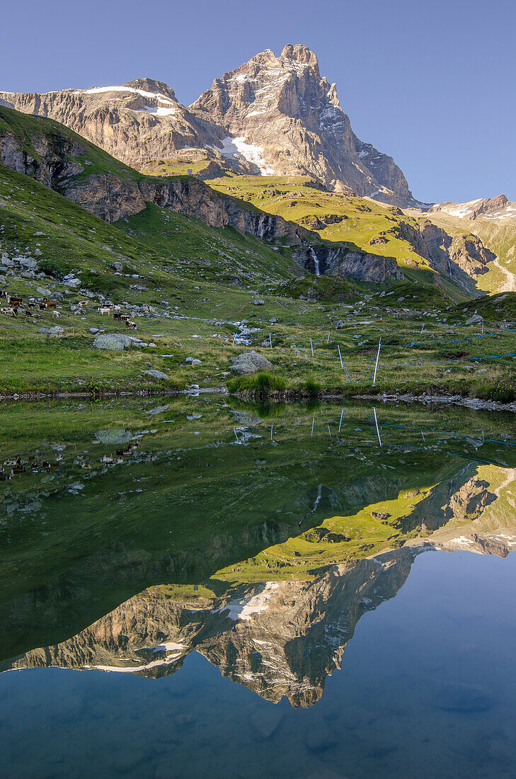 Matterhorn mit Spiegelung auf dem See, Breuil-Cervinia, Valtournenche, Aostatal, Italien