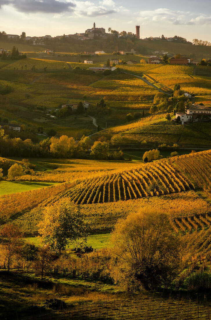 Sonnenuntergang und belaubte Weinberge, Calosso, Piemont, Italien