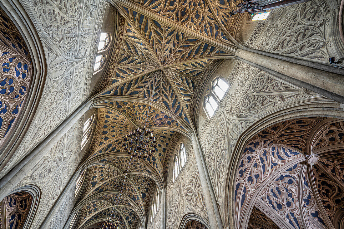 Das Innere der Kathedrale von Chambery ist dem Heiligen Franz von Sales gewidmet. Die Rippen und Dekorationen sind spektakuläre Posaunen. Chambery, Frankreich