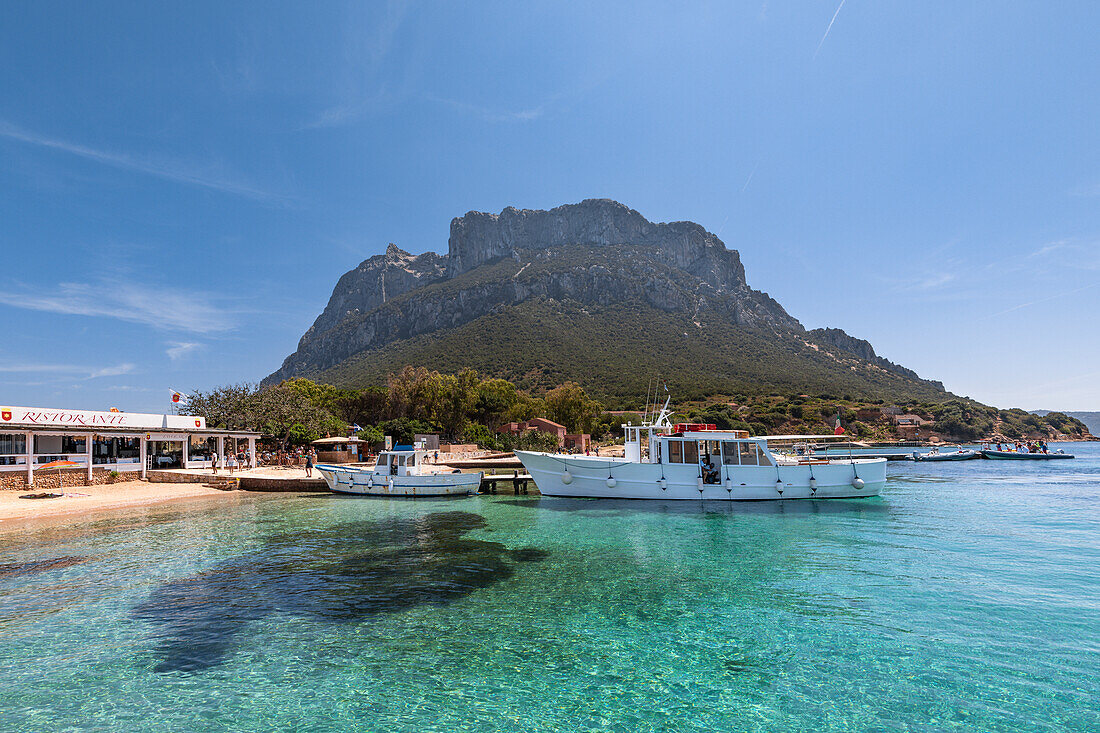 Boats at the small port of the Island of Tavolara (Olbia, Sassari province, Sardinia, Italy, Europe)