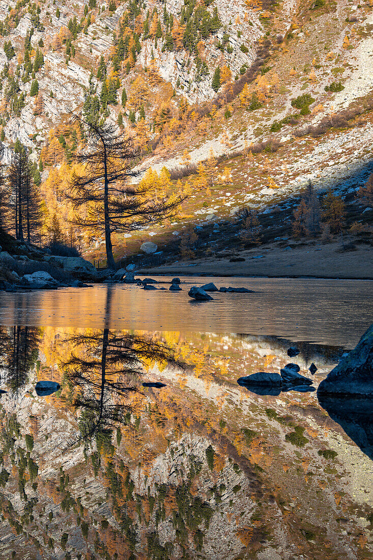 Autumn at Arpy Lake (Morgex, Aosta province, Aosta Valley, Italy, Europe)