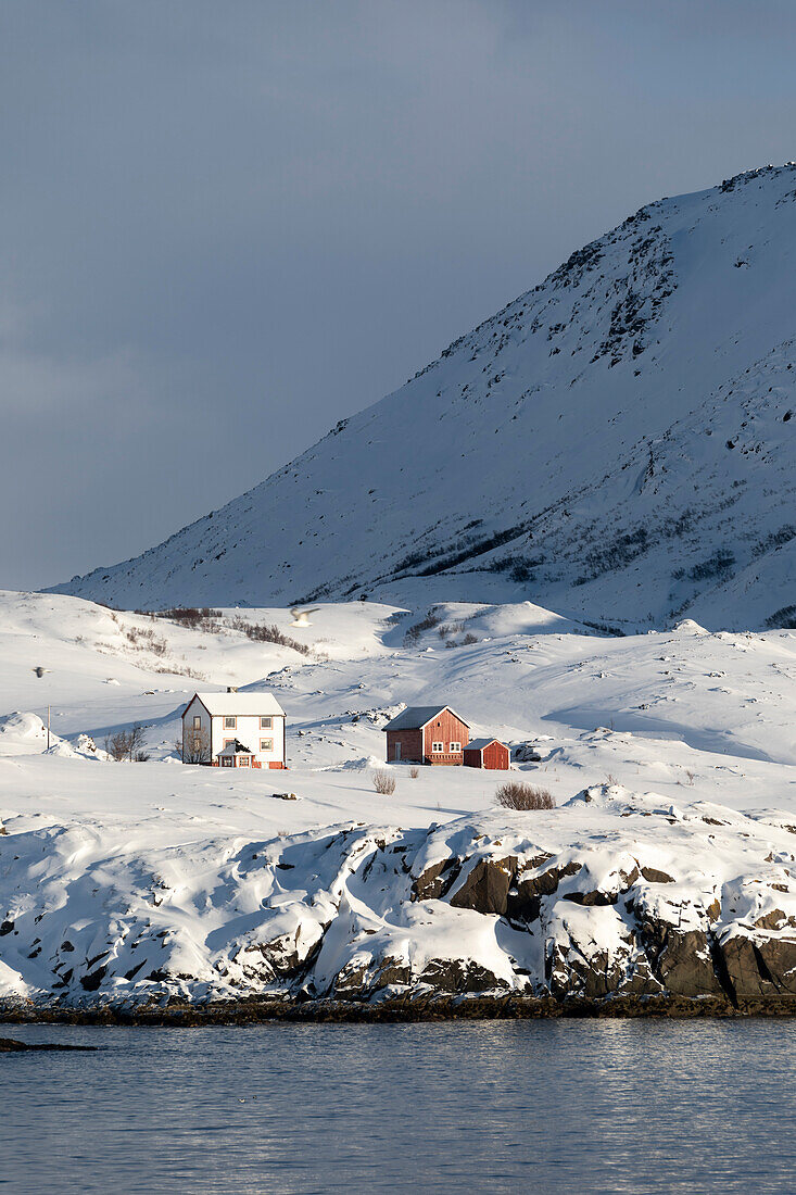 Dorf Hasvik: schneebedeckte Häuser im kalten arktischen Winter (Insel Soroya, Troms og Finnmark, Norwegen)