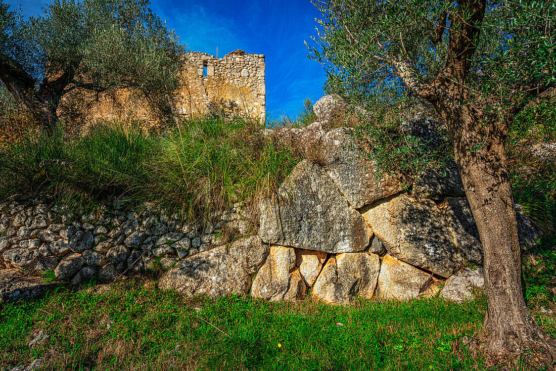 Megalithische oder zyklopische Mauern im Parco dell'Olivo in Venafro. Venafro, Provinz Isernia, Molise, Italien, Europa