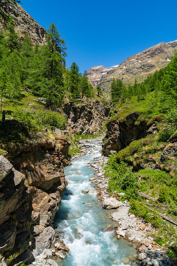 Der Wildbach Valpelline in der Nähe des Lac de Place Moulin im Sommer auf dem Weg zur Aosta-Hütte. Valpelline-Tal, Bionaz, Aosta-Tal, Alpen, Italien, Europa.