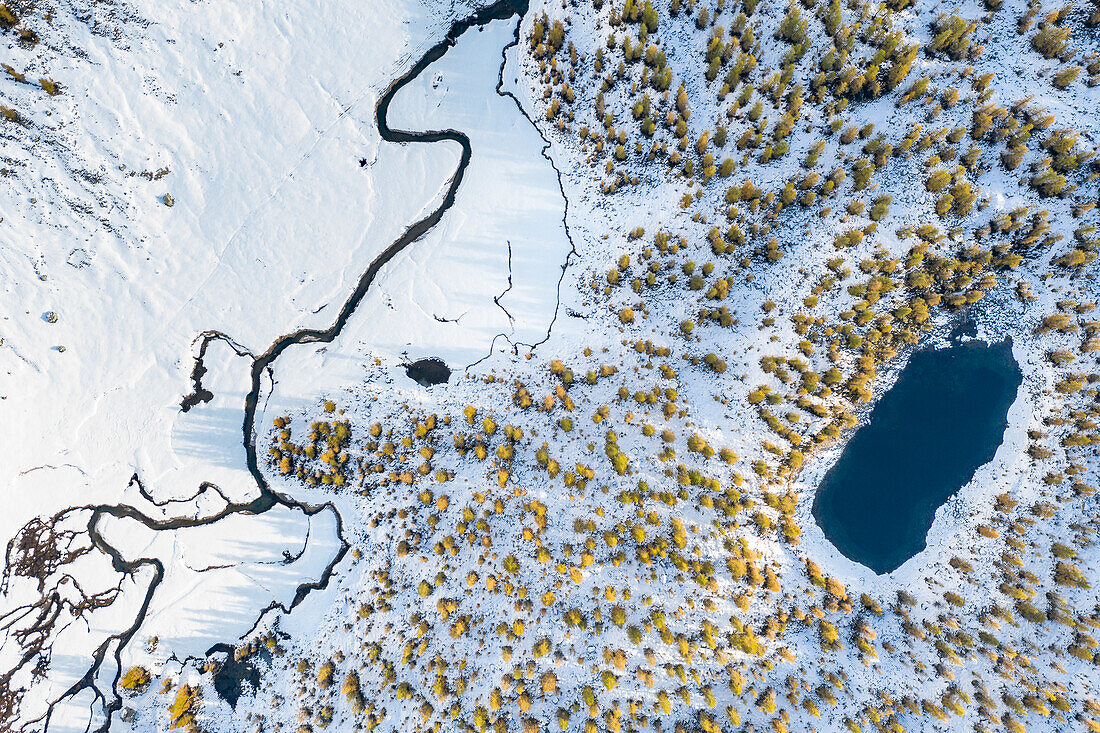 Aerial view of the Nero Lake and the Buscagna Valley in autumn (Alpe Devero, Alpe Veglia and Alpe Devero Natural Park, Baceno, Verbano Cusio Ossola province, Piedmont, Italy, Europe)