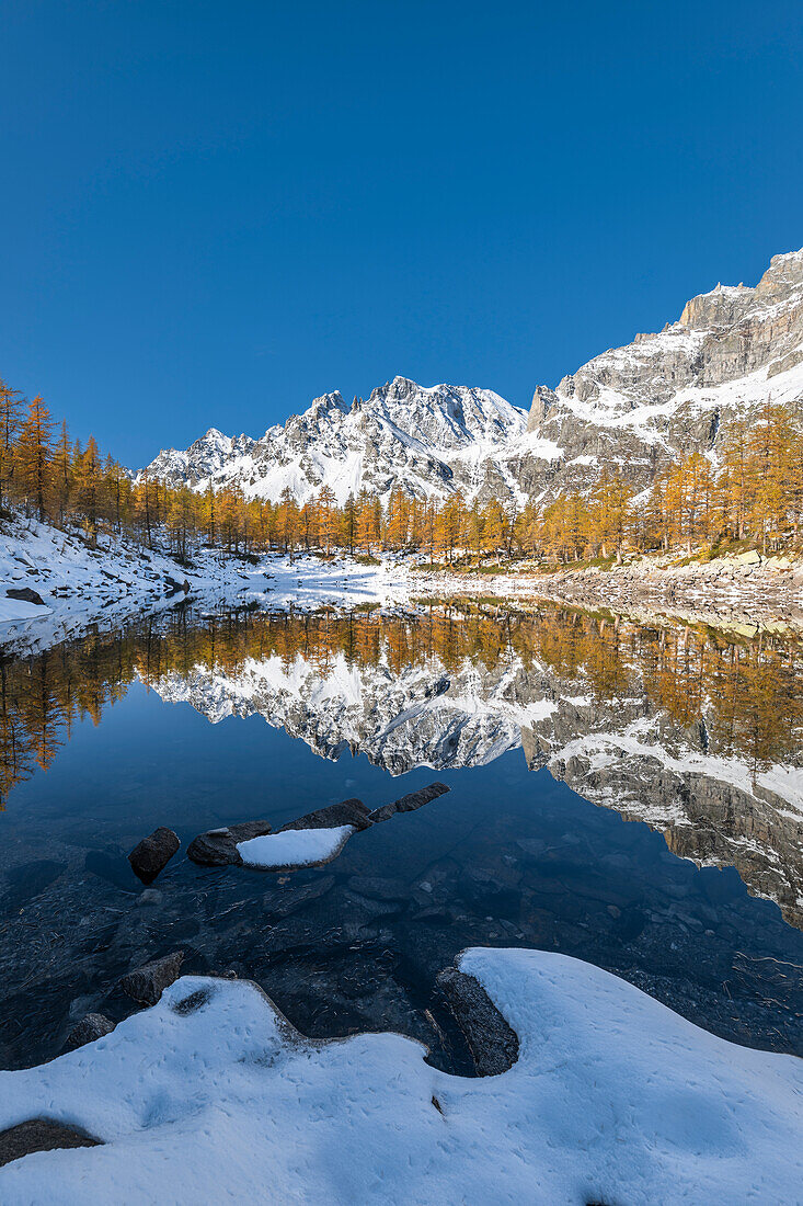 Schneebedeckte Berge, die sich im Herbst im Nerosee spiegeln (Buscagna-Tal, Naturpark Alpe Devero, Alpe Veglia und Alpe Devero, Baceno, Provinz Verbano Cusio Ossola, Piemont, Italien, Europa)