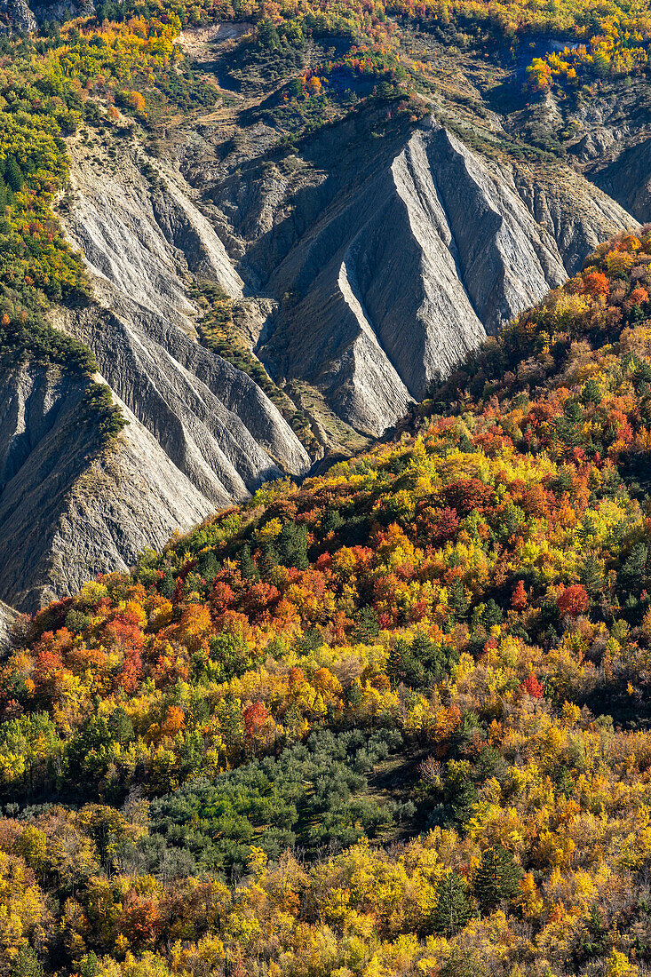 The Calanchi di Anversa degli Abruzzi, surrounded by autumnal vegetation. Anversa degli Abruzzi, Abruzzo, Italy, Europe