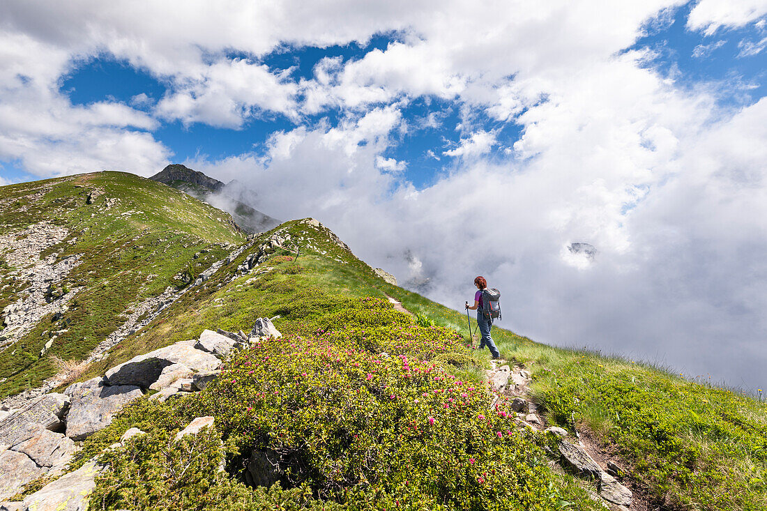 Ein Mädchen wandert auf dem Höhenweg Nr. 1 des Aostatals in Richtung der Coda-Hütte (Pollone, Provinz Biella, Piemont, Italien, Europa) (MR)