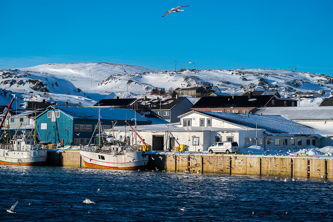 Europe, Norway, Finnmark, Varanger peninsula, Bervelag, Boats in the port