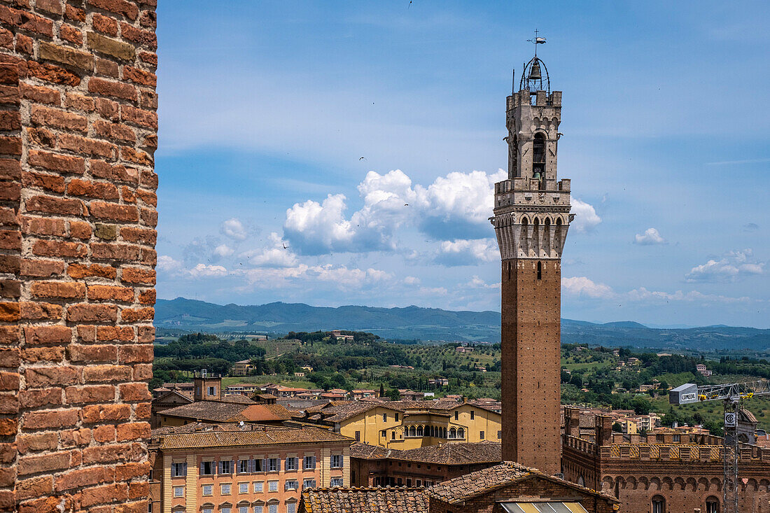 Italy, Tuscany, Siena, Mangia tower