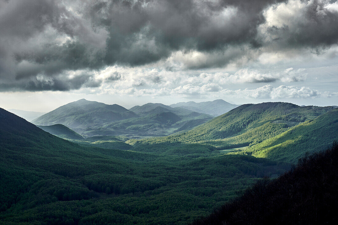 Bright sun rays from dark clouds on the green forest of beech trees in the Simbruini Mountains Natural Park - Lazio