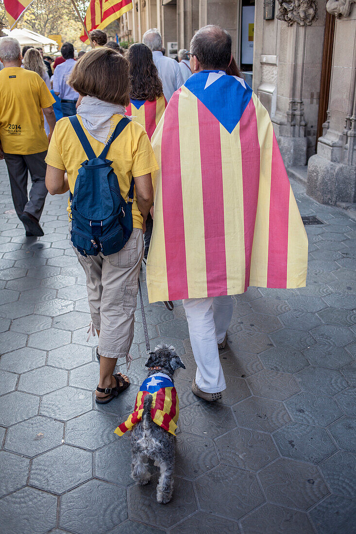 Politische Demonstration für die Unabhängigkeit von Katalonien. Passeig de Gracia.19. Oktober 2014. Barcelona. Katalonien. Spanien.