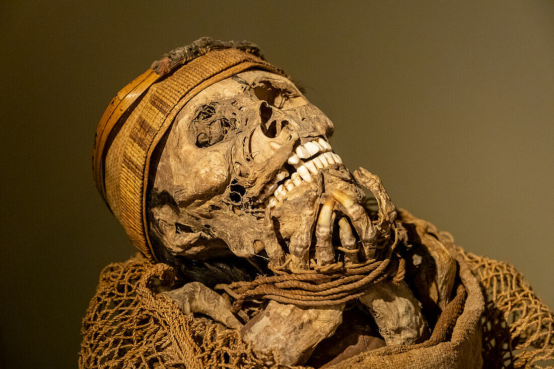 Muisca Mummy, in Gold museum, Museo del Oro, Bogota, Colombia, America