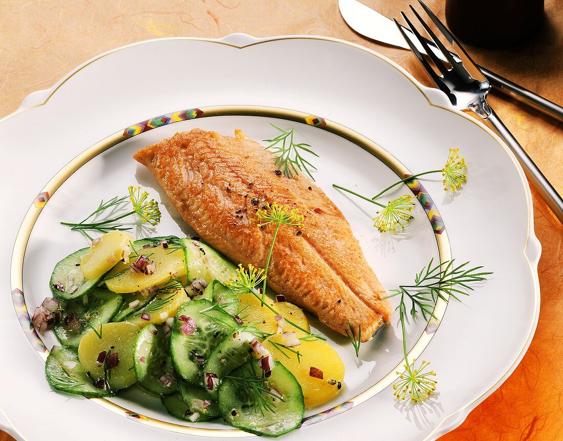 Rotbarschfilet mit Kartoffel-Gurken-Salat auf Teller