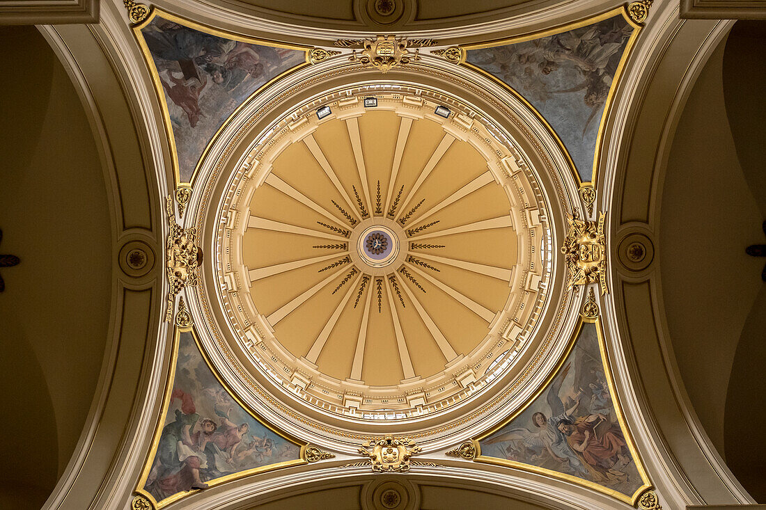 Detail of dome, Catedral Primada de Colombia, Cathedral, Bogota, Colombia