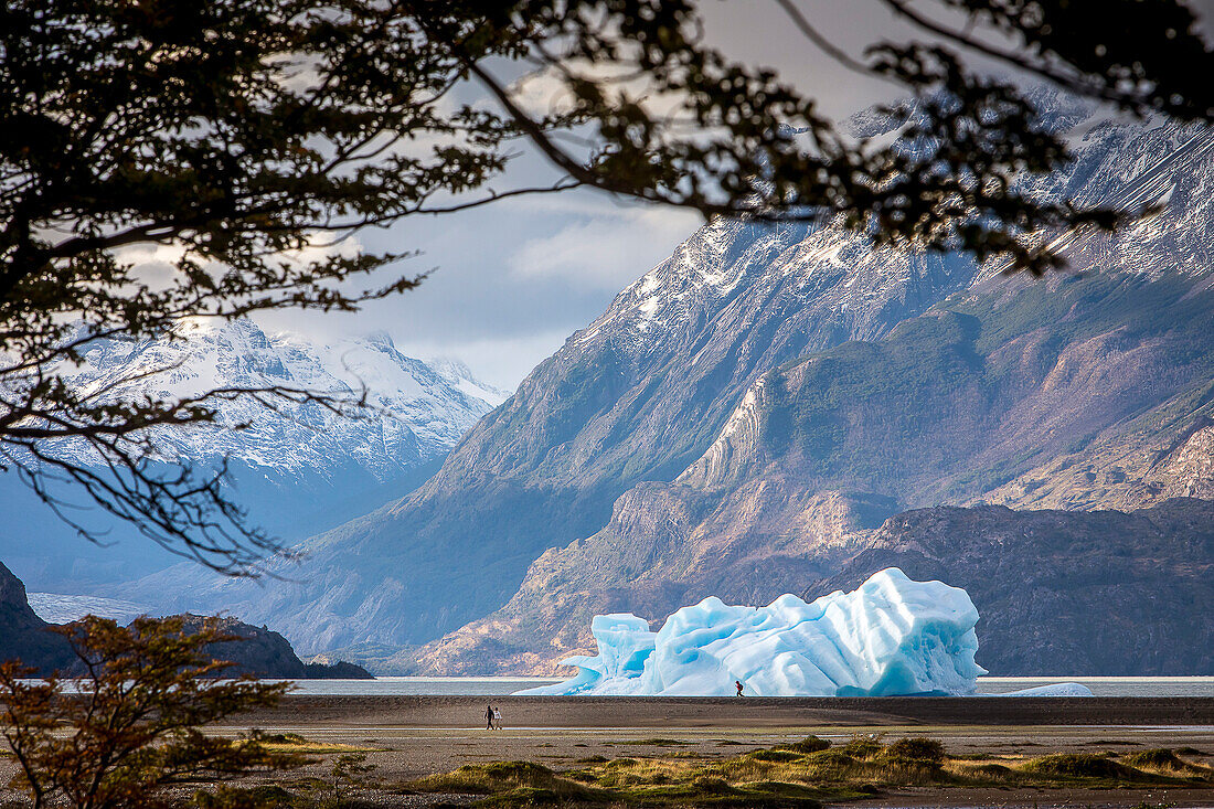 Grey Lake, Eisberg, der sich vom Grey-Gletscher gelöst hat, Torres del Paine Nationalpark, Patagonien, Chile