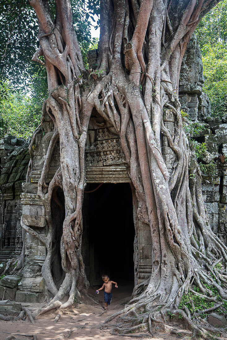 Ta Som temple, Angkor Archaeological Park, Siem Reap, Cambodia