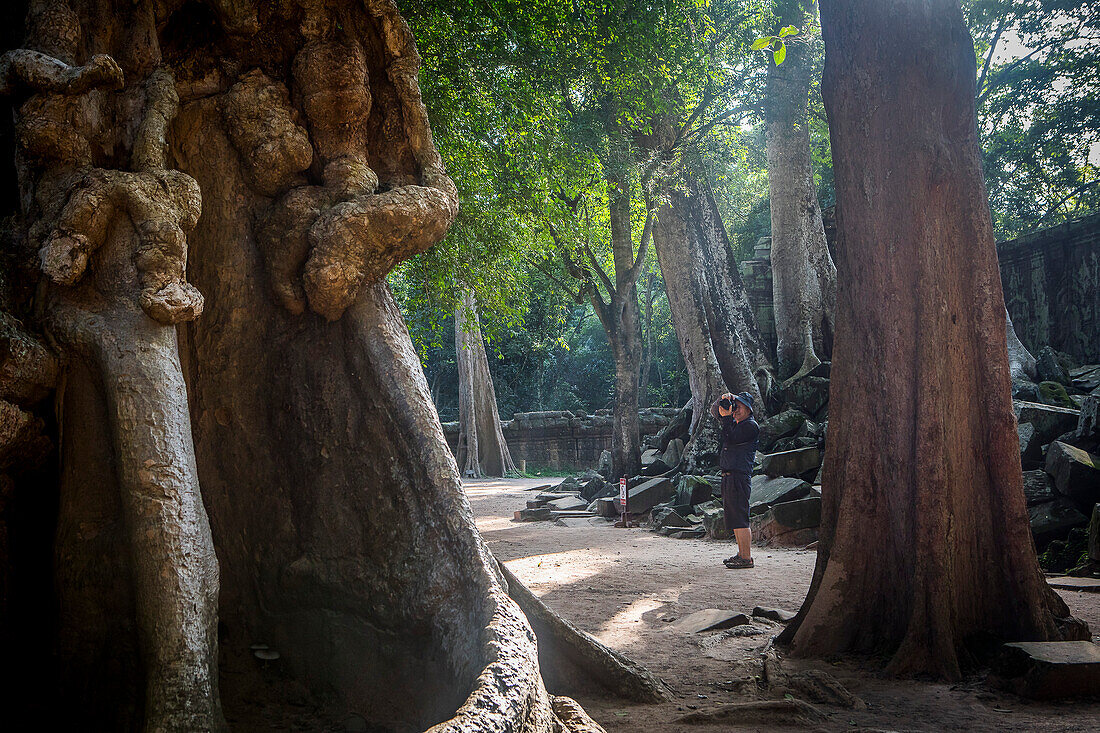 Ta-Prohm-Tempel, Archäologischer Park von Angkor, Siem Reap, Kambodscha