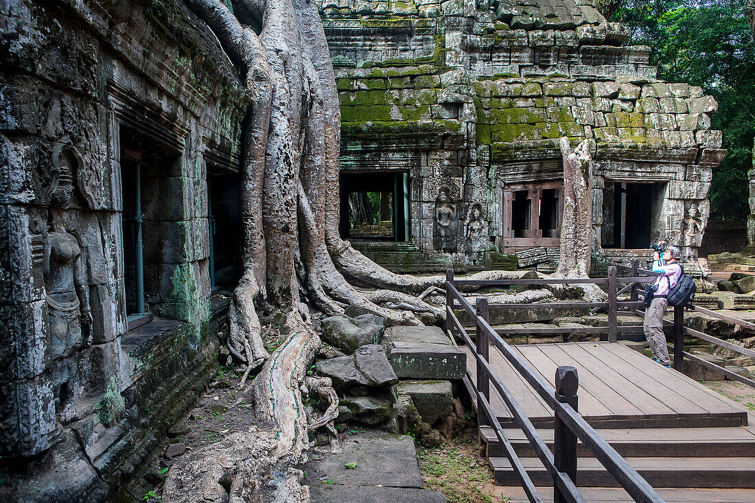 Ta Prohm temple, Angkor Archaeological Park, Siem Reap, Cambodia