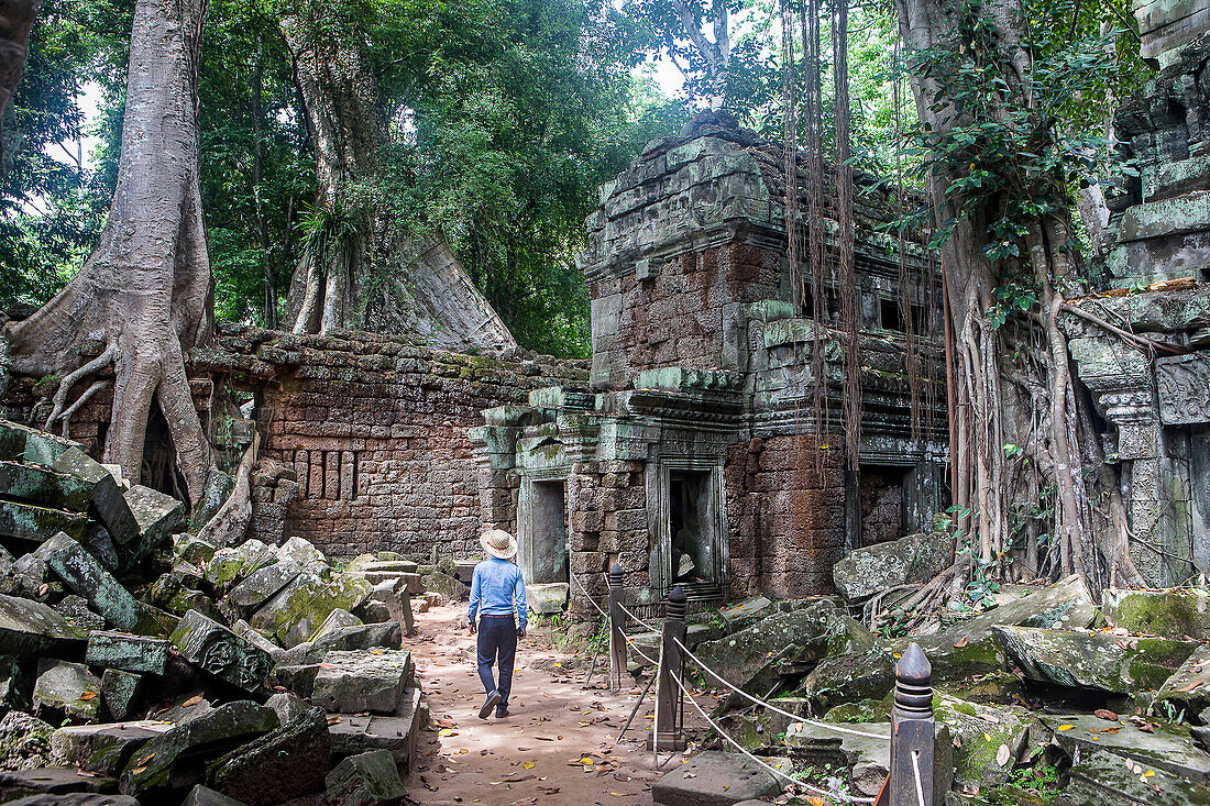 Ta Prohm temple, Angkor Archaeological Park, Siem Reap, Cambodia