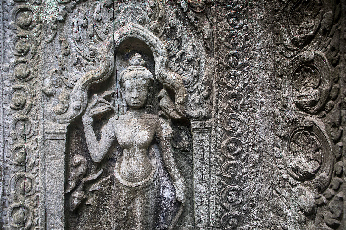Ta Prohm temple, Angkor Archaeological Park, Siem Reap, Cambodia