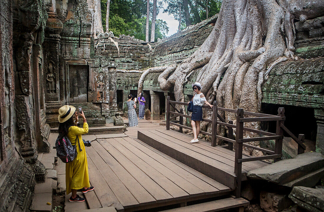 Ta Prohm temple, Angkor Archaeological Park, Siem Reap, Cambodia