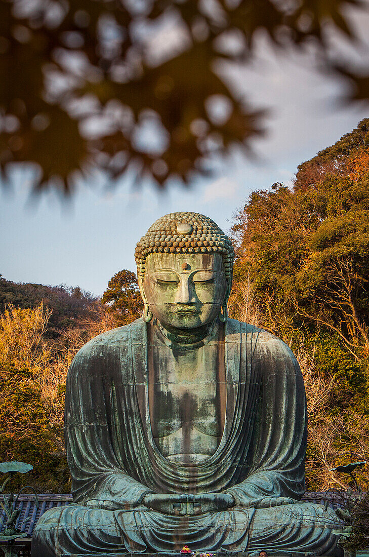 The Daibutsu (bronze Great Buddha). Kotoku-in Temple, Kamakura, Japan