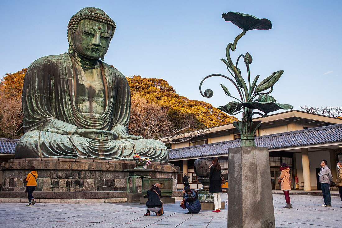 Der Daibutsu (Großer Buddha aus Bronze). Kotoku-in-Tempel, Kamakura, Japan