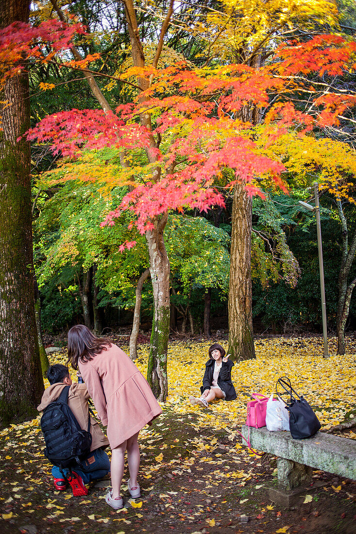 Der Garten des Daigo-ji-Tempels, Kyoto-Stadt, Kansai, Japan