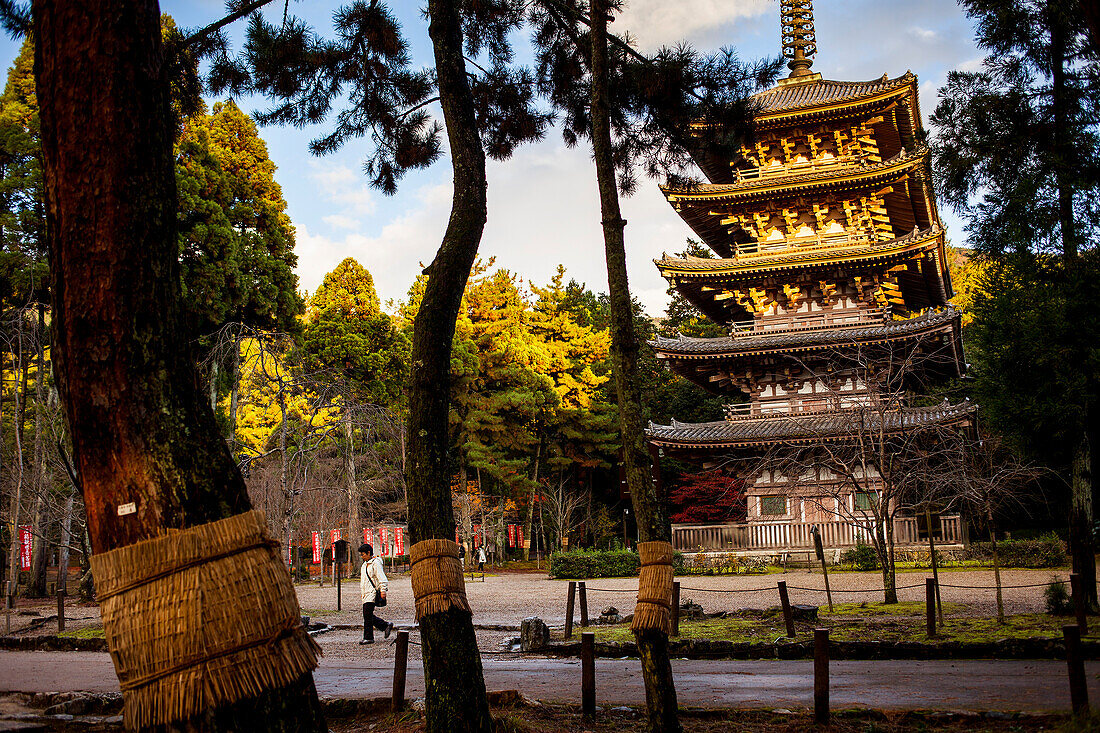 Gojyunoto, Daigo-ji Temple , Kyoto City , Kansai, Japan