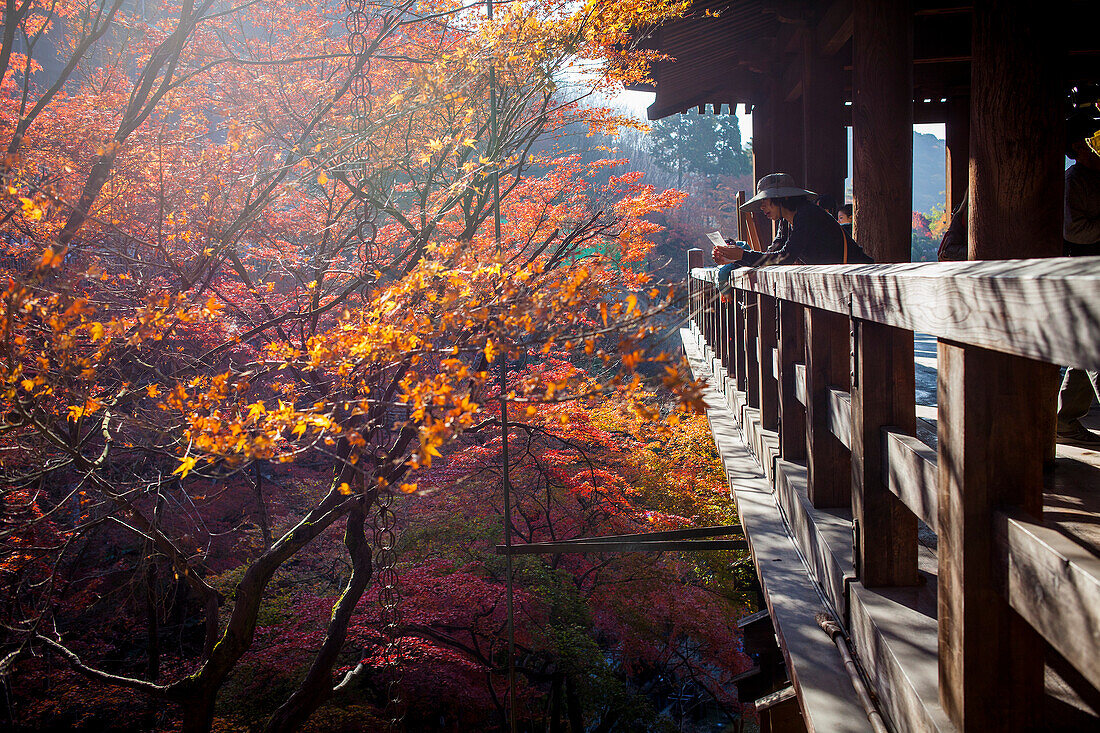 Kiyomizu-dera-Tempel, Kyoto. Kansai, Japan.