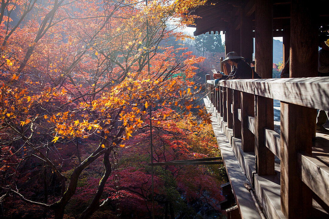 Kiyomizu-dera temple, Kyoto. Kansai, Japan.