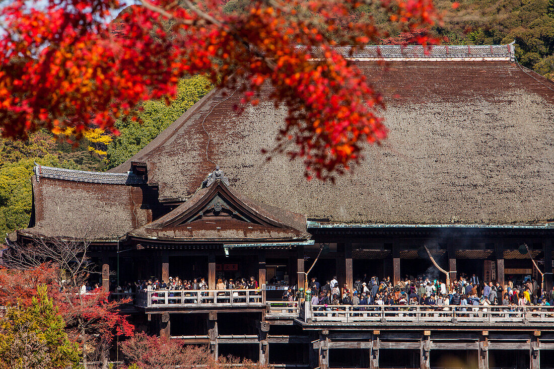 Kiyomizu-dera temple, Kyoto. Kansai, Japan.