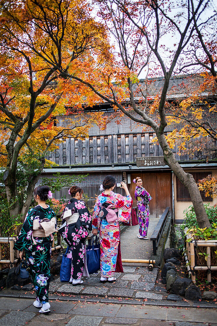 Frauen im Kimono, in Shirakawa-minami-dori, Bezirk Gion, Kyoto. Kansai, Japan.