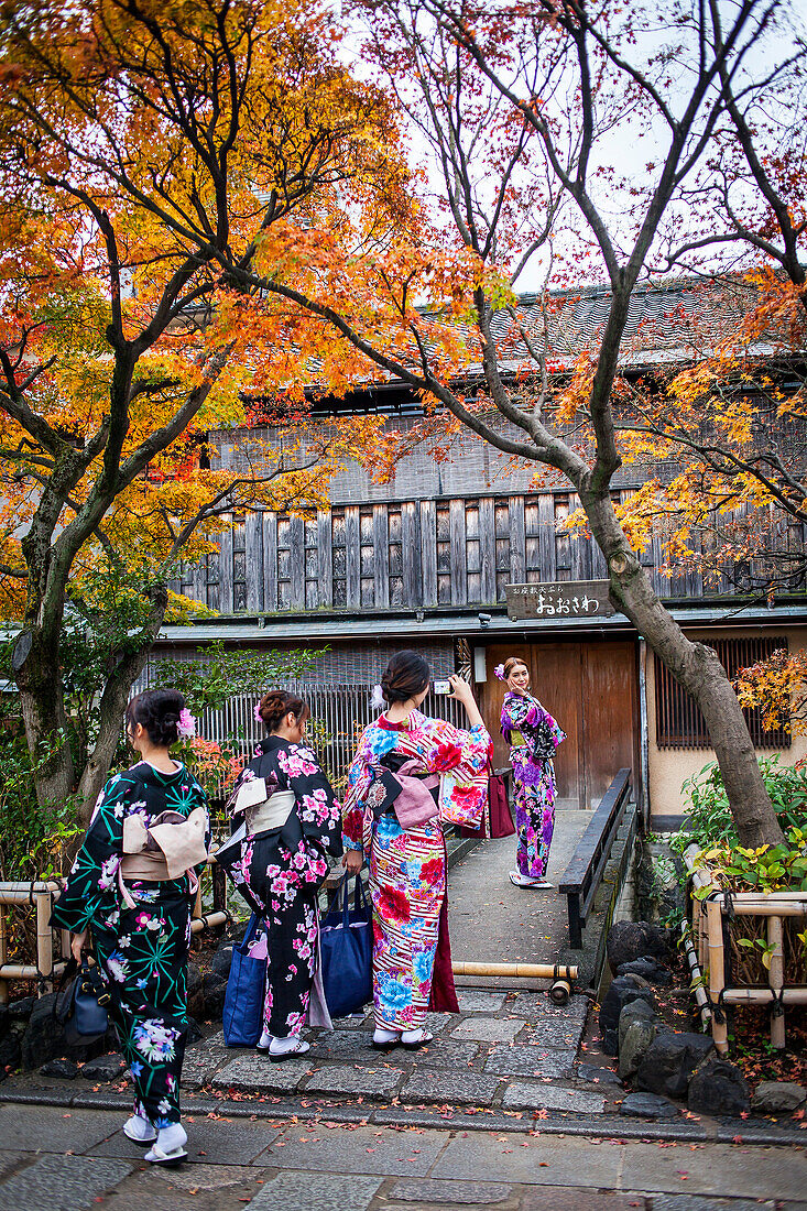 women dressed in kimono, in Shirakawa-minami-dori, Gion district, Kyoto. Kansai, Japan.