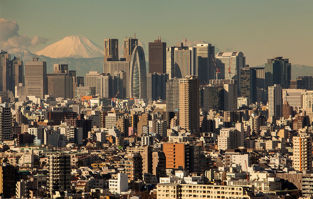 Wolkenkratzer von Shinjuku und der Berg Fuji, Tokio, Japan