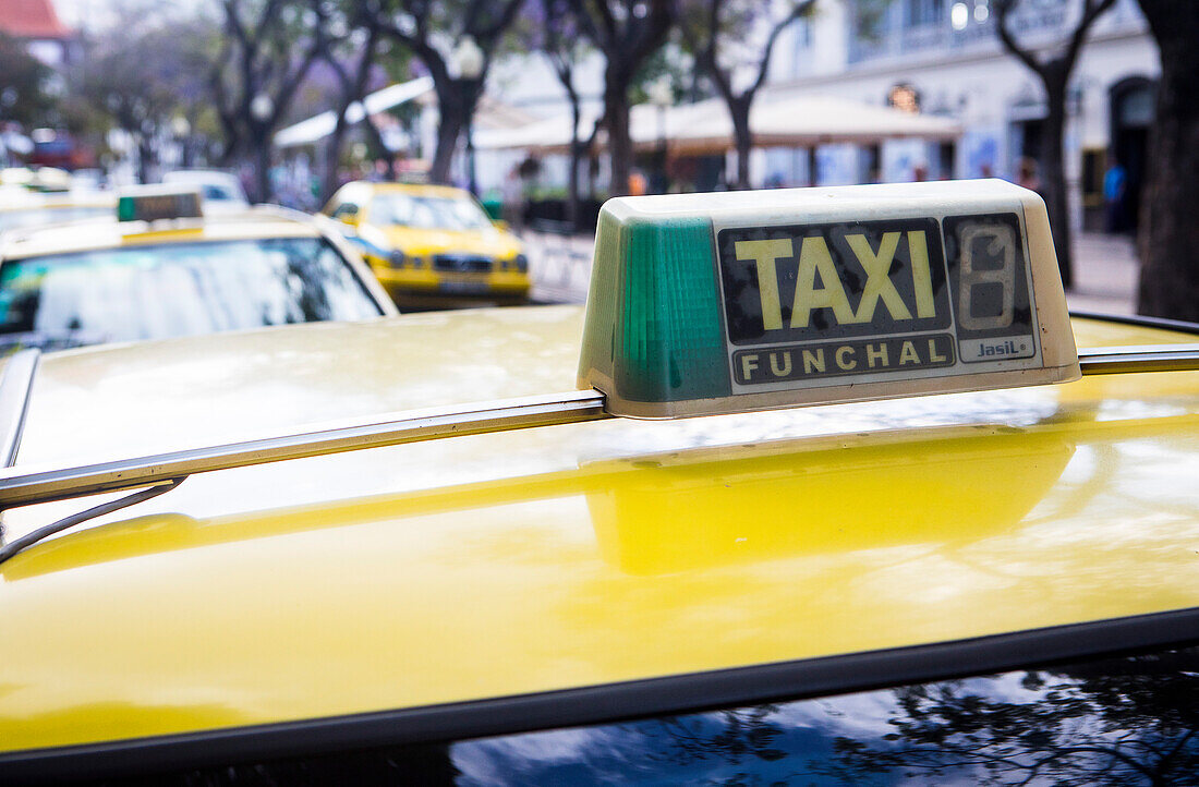 Taxis, AV Arriaga, Funchal, Madeira, Portugal