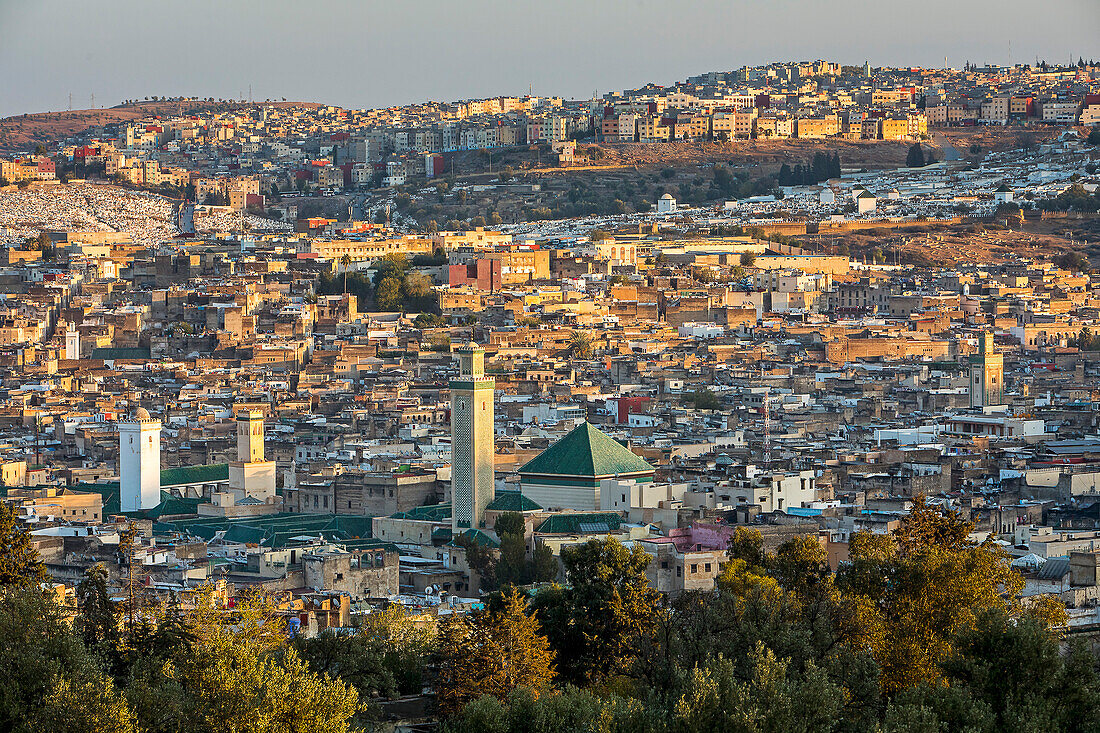 Skyline, Fez. Morocco