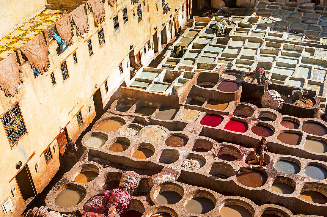 Chouwara tanneries. Fez. Morocco