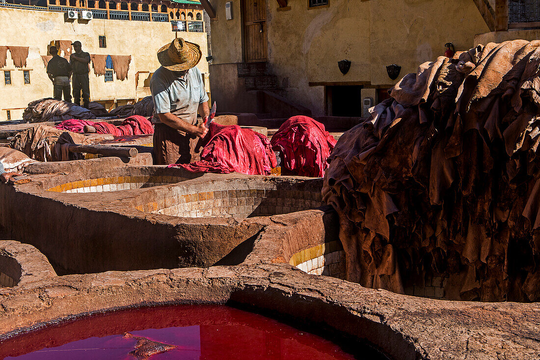 Chouwara tanneries. Fez. Morocco