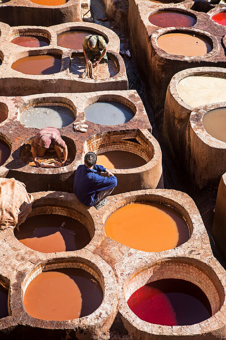 Chouwara tanneries. Fez. Morocco