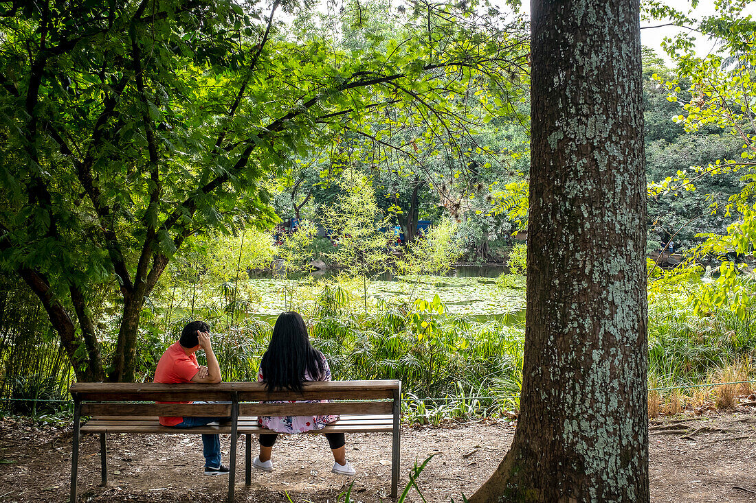 Wetland area, Botanical Garden, Medellín, Colombia